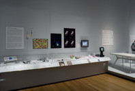 Design and the Elastic Mind. Feb 24–May 12, 2008.