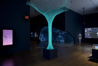 Design and the Elastic Mind. Feb 24–May 12, 2008. 2 other works identified