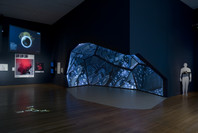 Design and the Elastic Mind. Feb 24–May 12, 2008. 1 other work identified