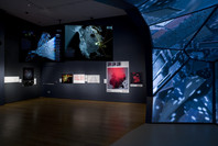 Design and the Elastic Mind. Feb 24–May 12, 2008. 3 other works identified
