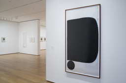 Installation photo, 17 of 17