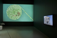 Projects 87: Sigalit Landau. Mar 19–Jul 28, 2008. 1 other work identified
