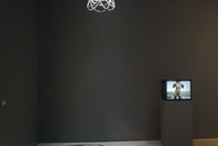 Projects 87: Sigalit Landau. Mar 19–Jul 28, 2008.