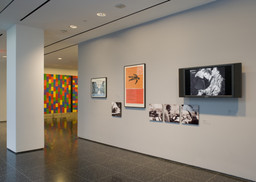 Installation photo, 2 of 11