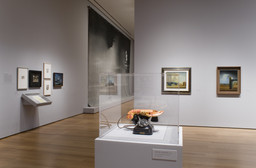 Installation photo, 17 of 38