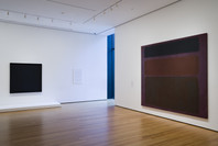 Focus: Ad Reinhardt and Mark Rothko. Mar 7–Aug 3, 2008. 1 other work identified