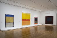 Focus: Ad Reinhardt and Mark Rothko. Mar 7–Aug 3, 2008. 3 other works identified