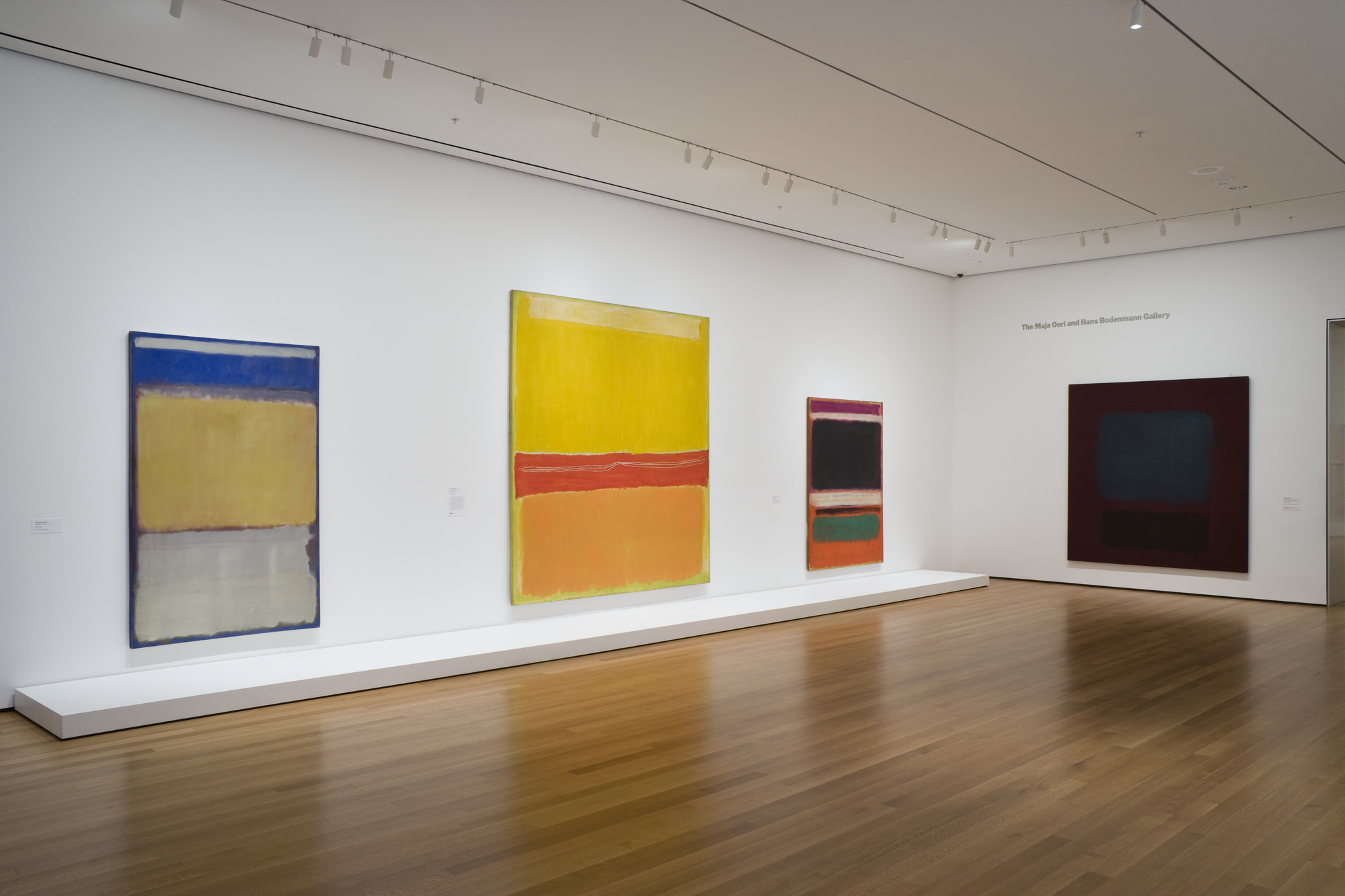 Installation view of the exhibition "Focus Ad Reinhardt and Mark