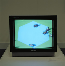Installation photo, 14 of 27