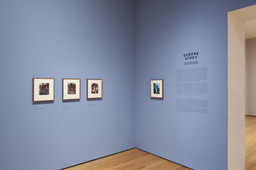 Installation photo, 10 of 11