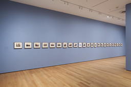 Installation photo, 4 of 11