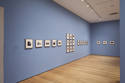 Installation photo, 7 of 11