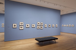 Installation photo, 8 of 11