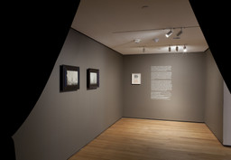 Installation photo, 3 of 22