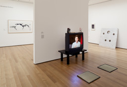 Installation photo, 18 of 22