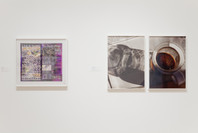The Shaping of New Visions: Photography, Film, Photobook. Apr 16, 2012–Apr 21, 2013. 1 other work identified