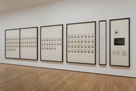 Taryn Simon: A Living Man Declared Dead and Other Chapters I–XVIII. May 2–Sep 3, 2012.