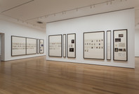 Taryn Simon: A Living Man Declared Dead and Other Chapters I–XVIII. May 2–Sep 3, 2012.