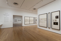 Taryn Simon: A Living Man Declared Dead and Other Chapters I–XVIII. May 2–Sep 3, 2012.
