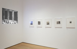 Installation photo, 3 of 43