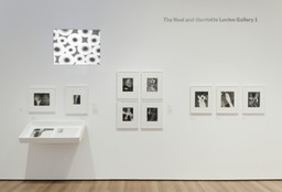 The Shaping of New Visions: Photography, Film, Photobook. Apr 16, 2012–Apr 21, 2013. 