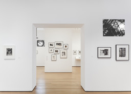Installation photo, 9 of 43