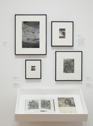 The Shaping of New Visions: Photography, Film, Photobook. Apr 16, 2012–Apr 21, 2013. 3 other works identified