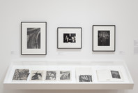 The Shaping of New Visions: Photography, Film, Photobook. Apr 16, 2012–Apr 21, 2013. 2 other works identified