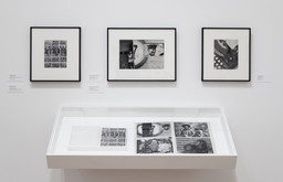 Installation photo, 16 of 43