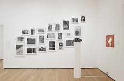 Installation photo, 20 of 43