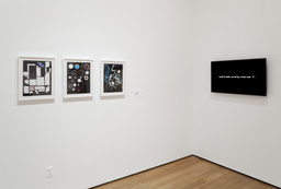 Installation photo, 29 of 56