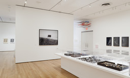 Installation photo, 40 of 56