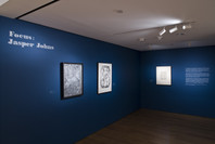 Focus: Jasper Johns. Dec 5, 2008–Feb 16, 2009. 2 other works identified