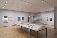 Focus: Jasper Johns. Dec 5, 2008–Feb 16, 2009. 9 other works identified