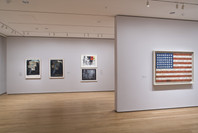 Focus: Jasper Johns. Dec 5, 2008–Feb 16, 2009. 4 other works identified