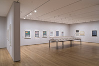 Focus: Jasper Johns. Dec 5, 2008–Feb 16, 2009. 12 other works identified