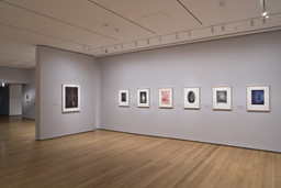 Focus: Jasper Johns. Dec 5, 2008–Feb 16, 2009. 7 other works identified