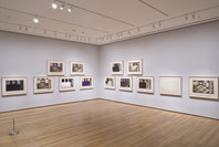 Focus: Jasper Johns. Dec 5, 2008–Feb 16, 2009. 12 other works identified