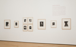 The Original Copy: Photography of Sculpture, 1839 to Today. Aug 1–Nov 1, 2010. 1 other work identified