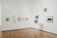 The Original Copy: Photography of Sculpture, 1839 to Today. Aug 1–Nov 1, 2010. 2 other works identified