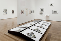 The Original Copy: Photography of Sculpture, 1839 to Today. Aug 1–Nov 1, 2010. 4 other works identified
