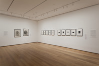 New to the Print Collection: Matisse to Bourgeois. Jun 13, 2012–Jan 7, 2013.