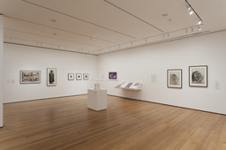 Installation photo, 6 of 18