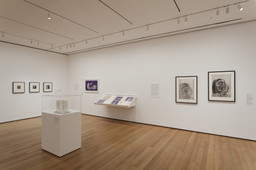 Installation photo, 7 of 18