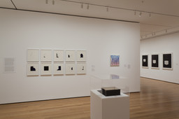 Installation photo, 11 of 18