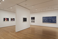 New to the Print Collection: Matisse to Bourgeois. Jun 13, 2012–Jan 7, 2013. 2 other works identified