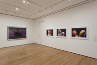 New to the Print Collection: Matisse to Bourgeois. Jun 13, 2012–Jan 7, 2013. 3 other works identified