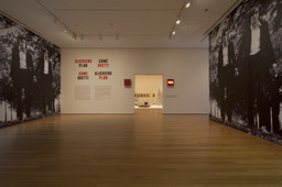 Installation photo, 9 of 50