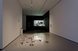 Installation photo, 10 of 15