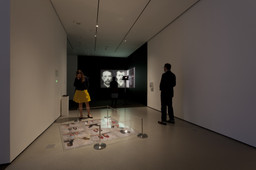 Installation photo, 9 of 15